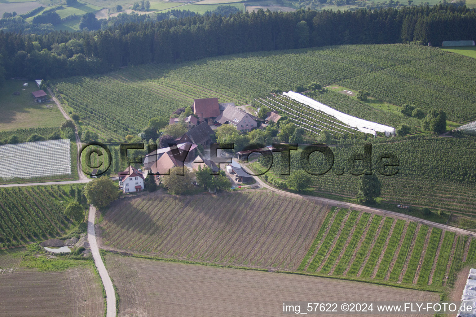 Photographie aérienne de Gailhöfe dans le département Bade-Wurtemberg, Allemagne