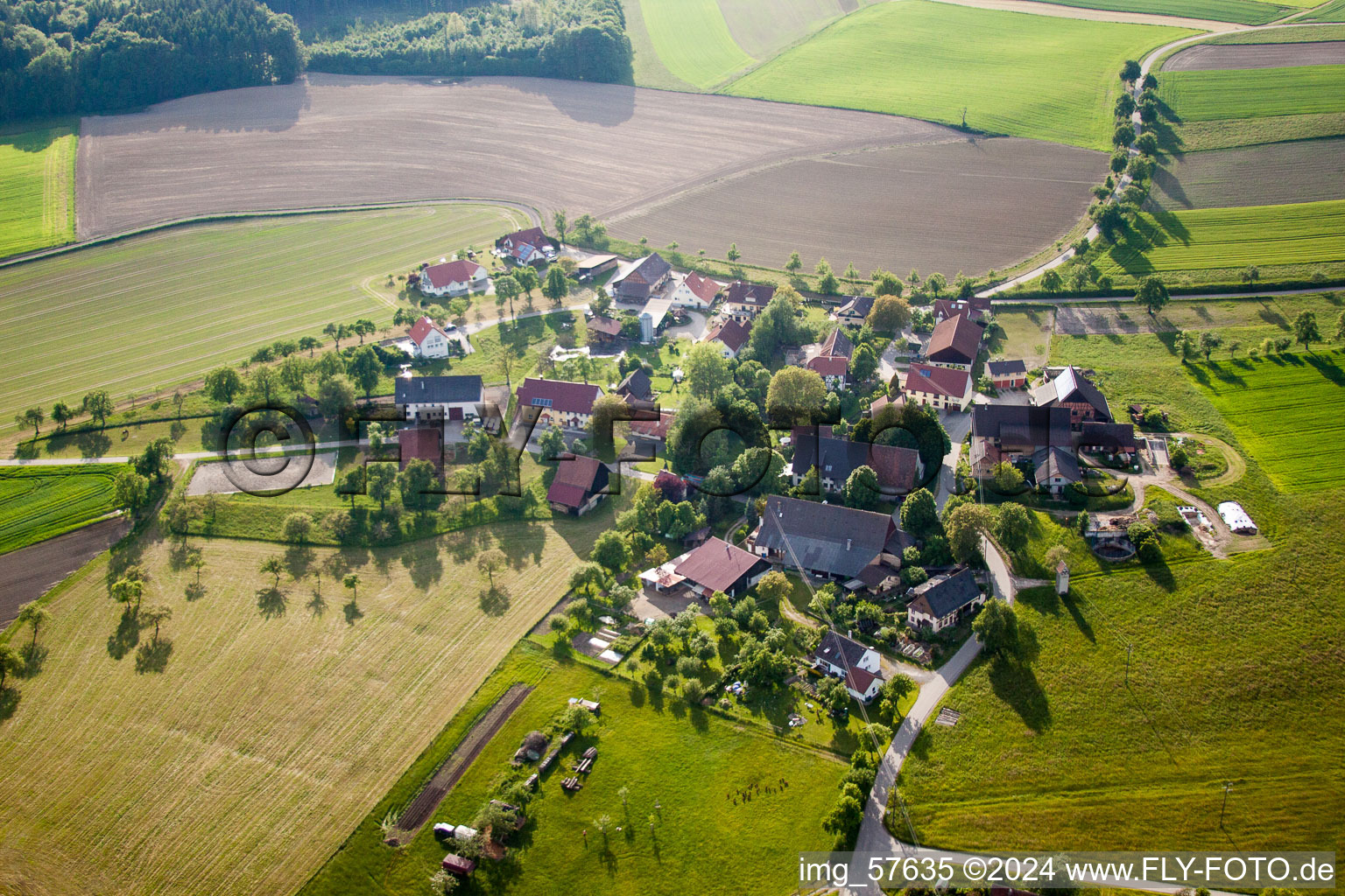 Vue aérienne de Dans le quartier d'Alberweiler à Herdwangen-Schönach dans le département Bade-Wurtemberg, Allemagne