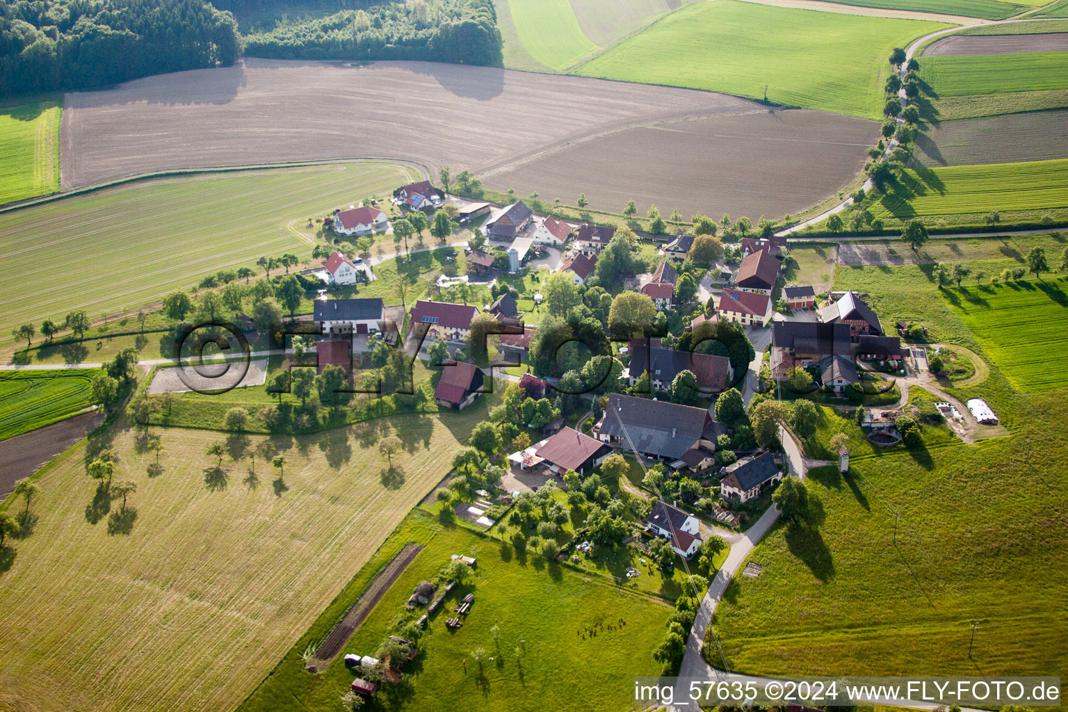 Vue aérienne de Vue sur le village à le quartier Herdwangen in Herdwangen-Schönach dans le département Bade-Wurtemberg, Allemagne