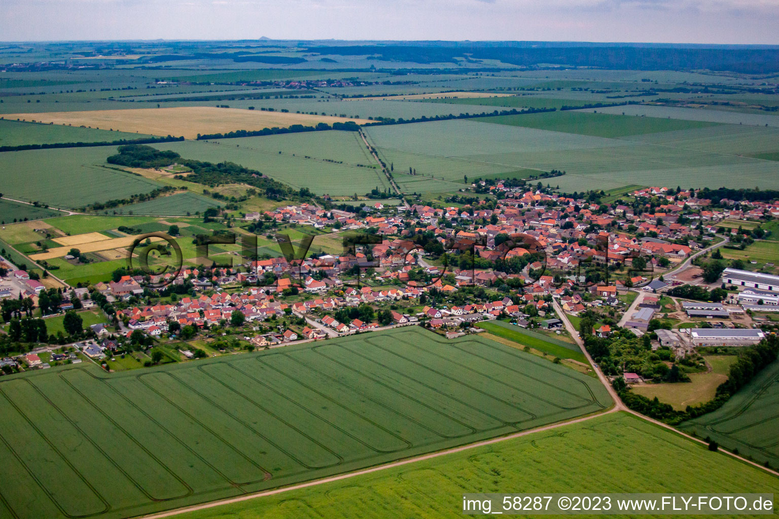 Vue aérienne de Du nord-ouest à le quartier Badeborn in Ballenstedt dans le département Saxe-Anhalt, Allemagne