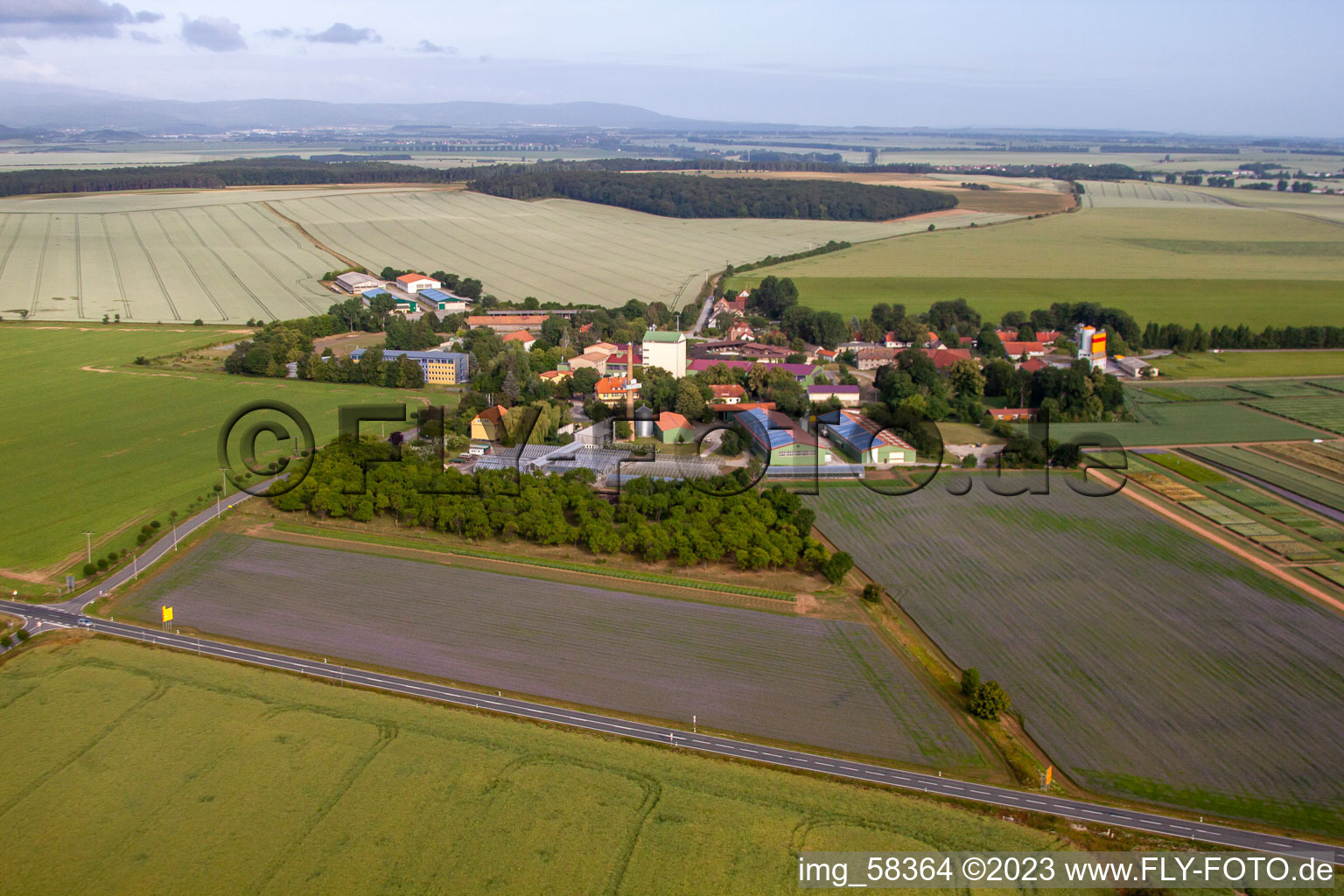 Vue aérienne de Quartier Böhnshausen in Halberstadt dans le département Saxe-Anhalt, Allemagne