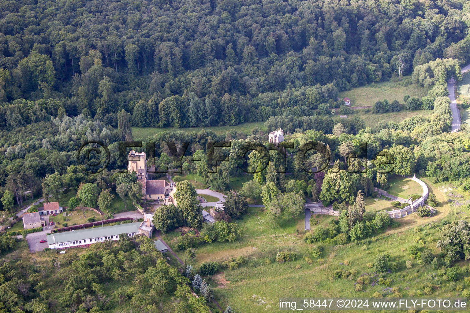 Vue aérienne de Quartier Rieder in Ballenstedt dans le département Saxe-Anhalt, Allemagne