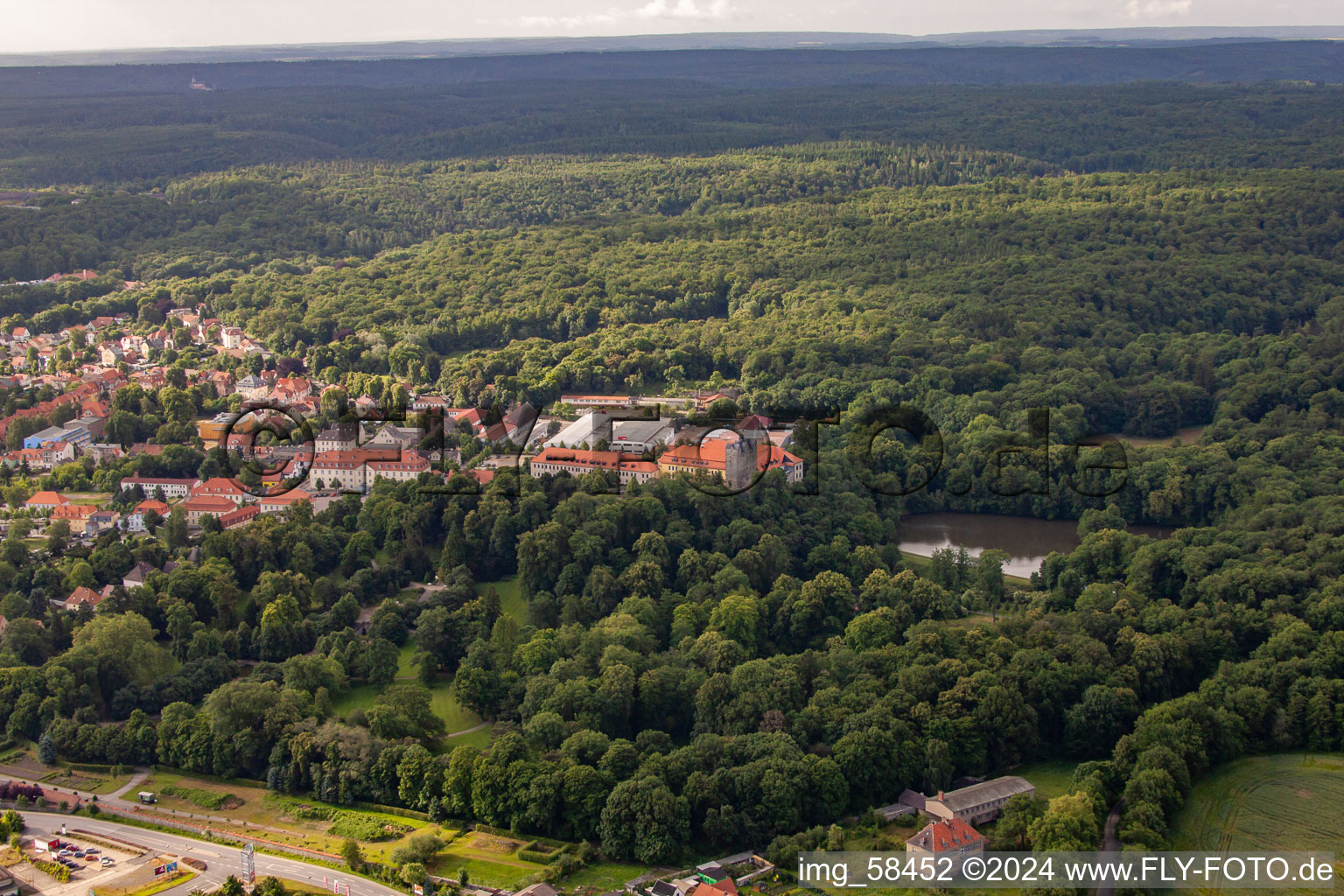 Vue aérienne de Château et parc du château avec étang du château Ballenstedt depuis le nord à Ballenstedt dans le département Saxe-Anhalt, Allemagne