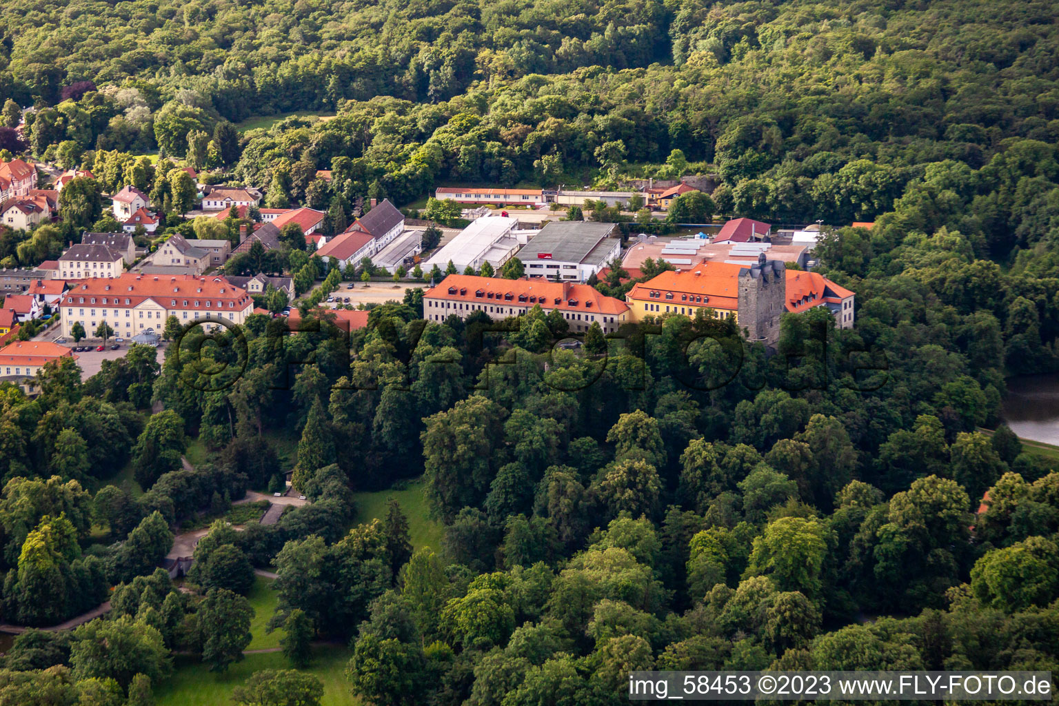 Vue aérienne de Château et parc du château avec étang du château Ballenstedt depuis le nord à Ballenstedt dans le département Saxe-Anhalt, Allemagne