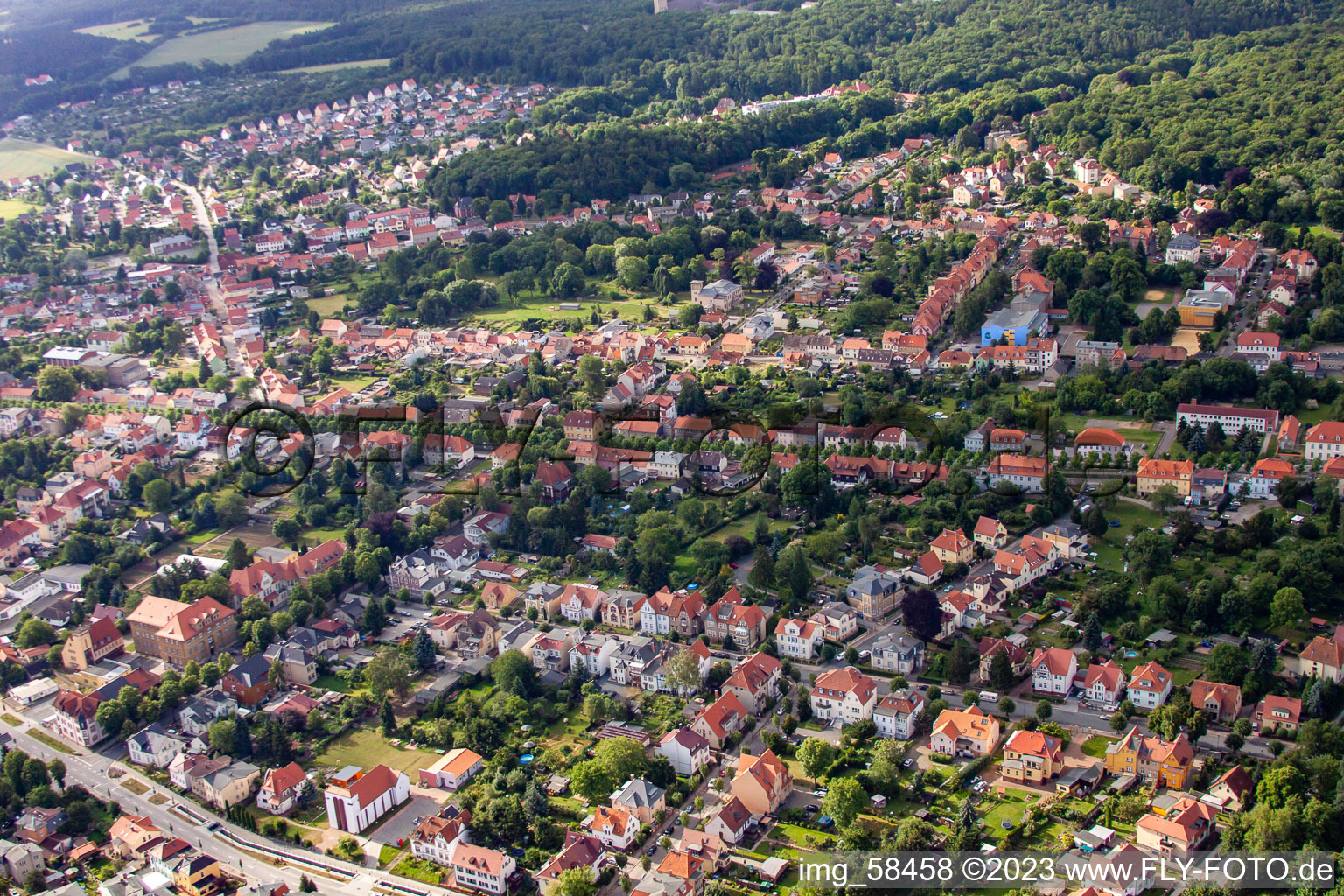Vue aérienne de Avenue du château depuis le nord à Ballenstedt dans le département Saxe-Anhalt, Allemagne