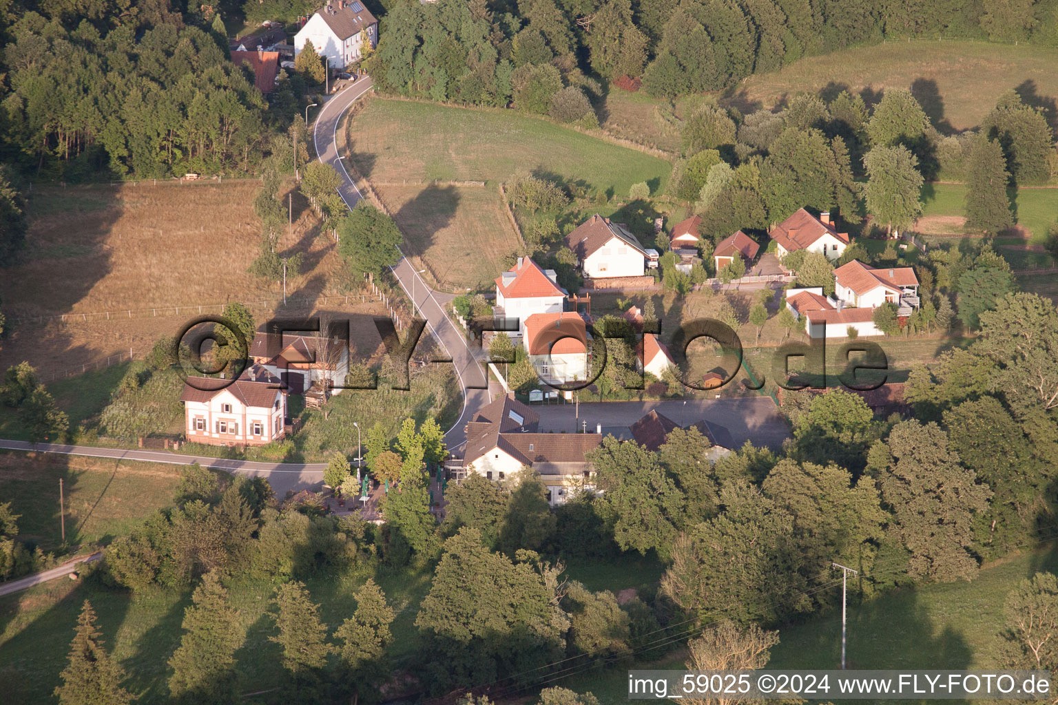 Bienwaldmühle dans le département Rhénanie-Palatinat, Allemagne vue d'en haut