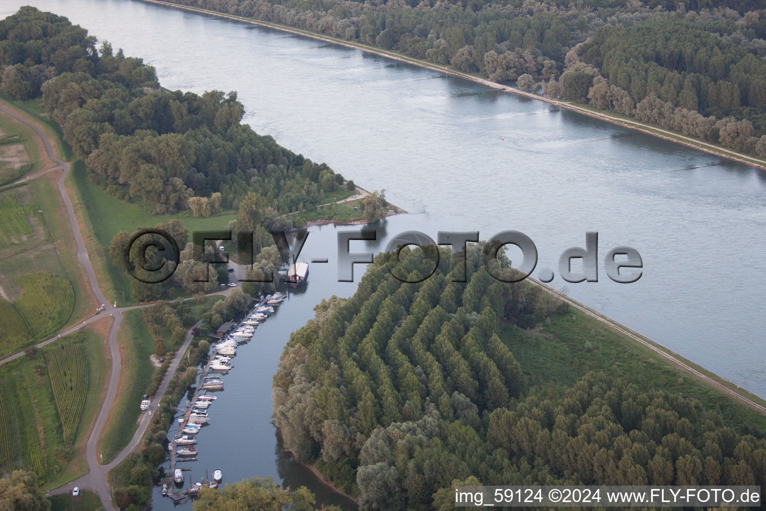 Photographie aérienne de Lautermuschel à le quartier Neuburg in Neuburg am Rhein dans le département Rhénanie-Palatinat, Allemagne