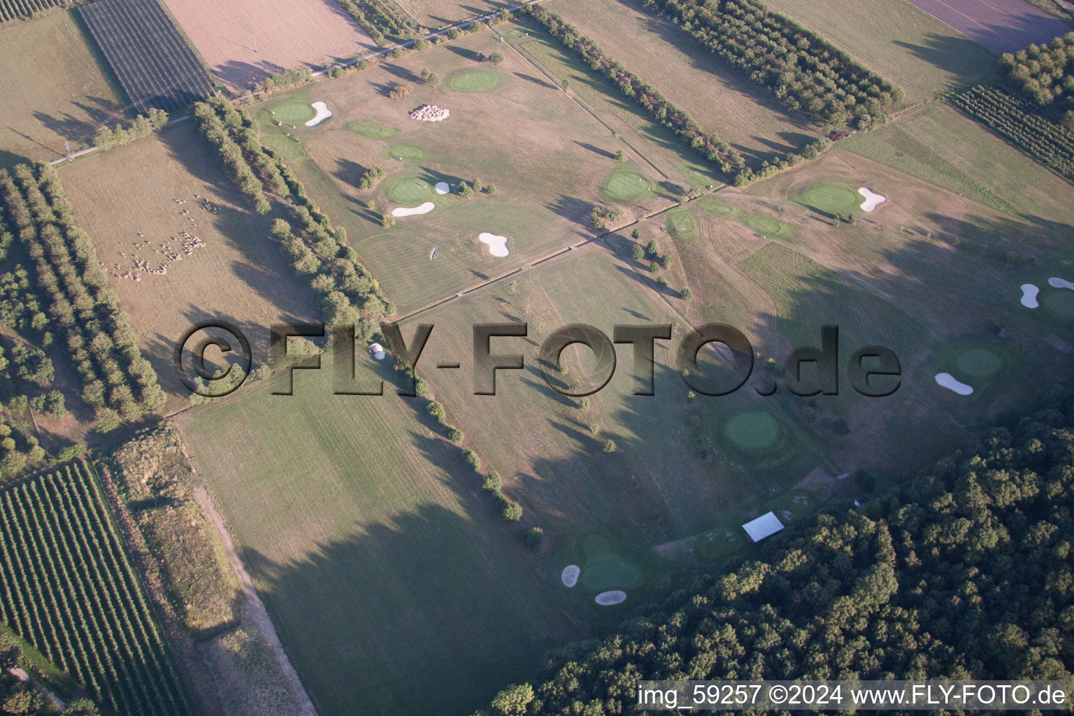 Club de golf Urloffen à le quartier Urloffen in Appenweier dans le département Bade-Wurtemberg, Allemagne depuis l'avion