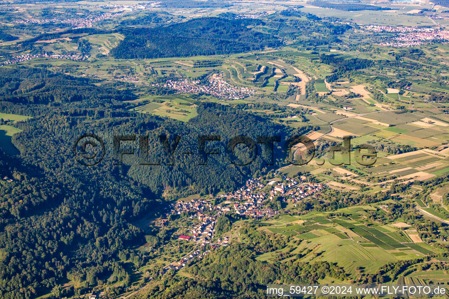 Vue aérienne de Quartier Bleichheim in Herbolzheim dans le département Bade-Wurtemberg, Allemagne