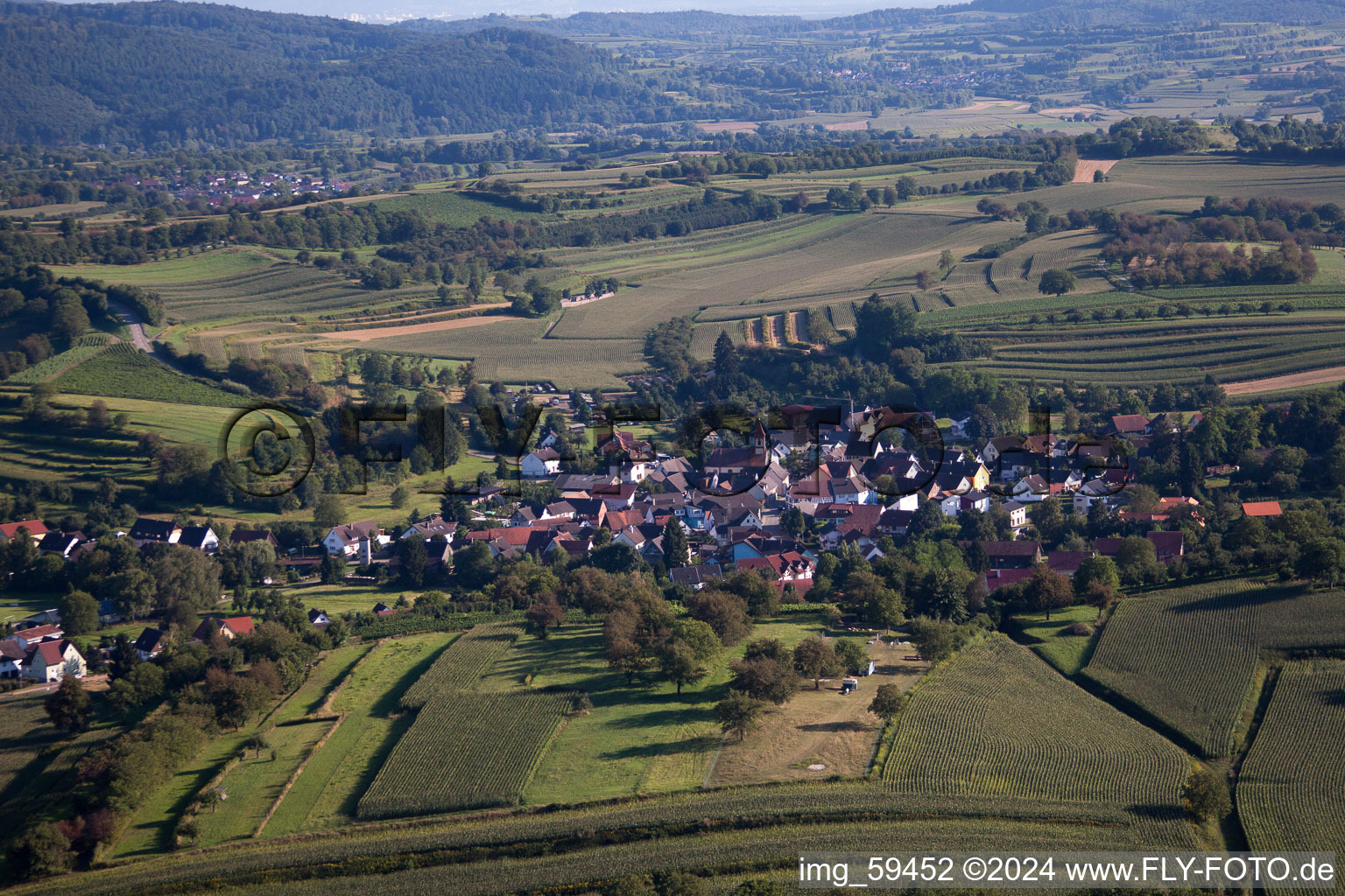 Vue aérienne de Ettenheimweiler à Ettenheim dans le département Bade-Wurtemberg, Allemagne