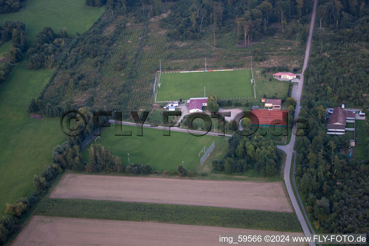 Steinweiler dans le département Rhénanie-Palatinat, Allemagne vue d'en haut