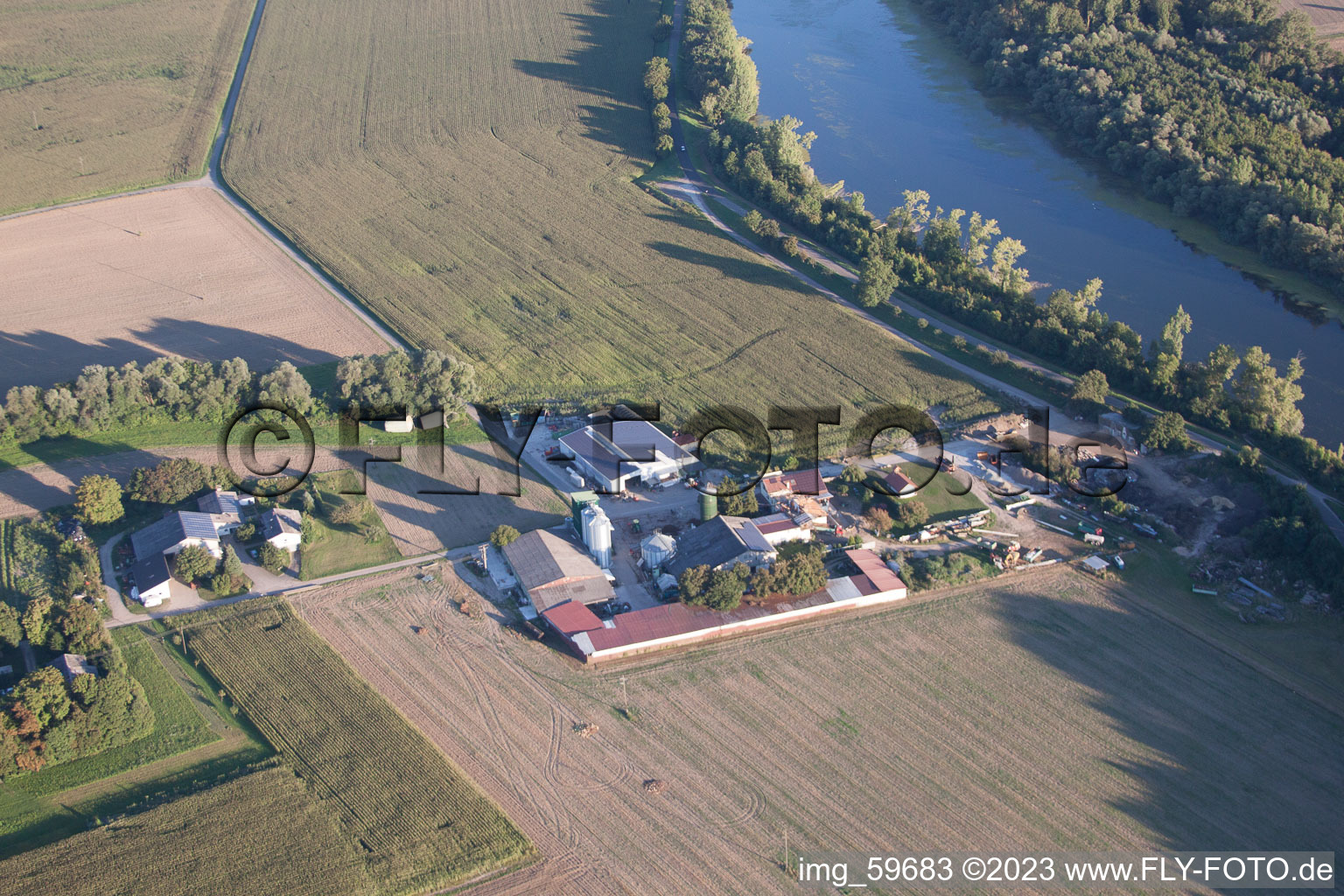 Image drone de Quartier Rheinsheim in Philippsburg dans le département Bade-Wurtemberg, Allemagne