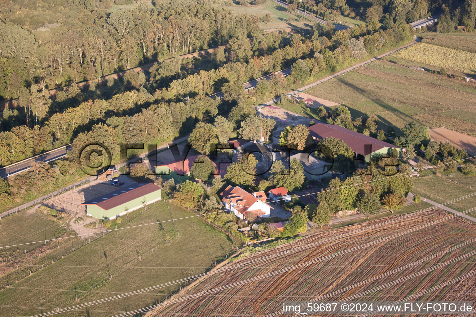 Vue aérienne de Pension pour chevaux de Brecht à le quartier Huttenheim in Philippsburg dans le département Bade-Wurtemberg, Allemagne