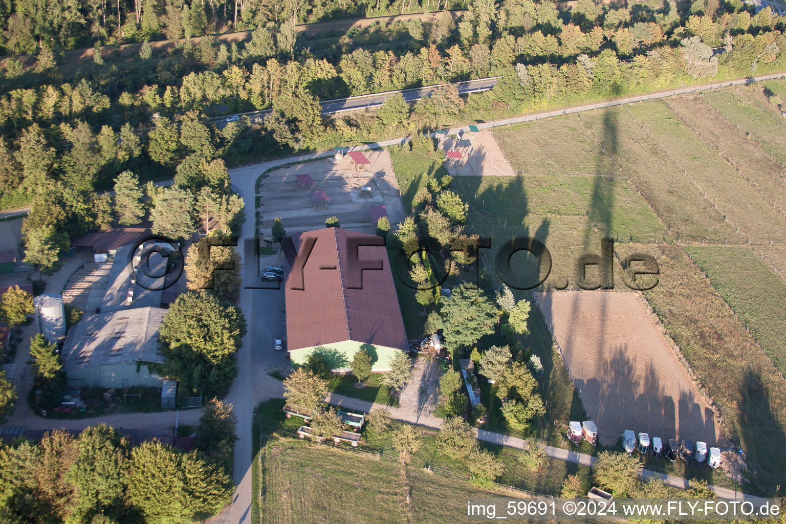 Vue oblique de Pension pour chevaux de Brecht à le quartier Huttenheim in Philippsburg dans le département Bade-Wurtemberg, Allemagne