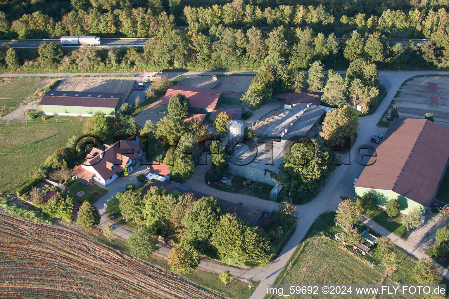 Pension pour chevaux de Brecht à le quartier Huttenheim in Philippsburg dans le département Bade-Wurtemberg, Allemagne d'en haut