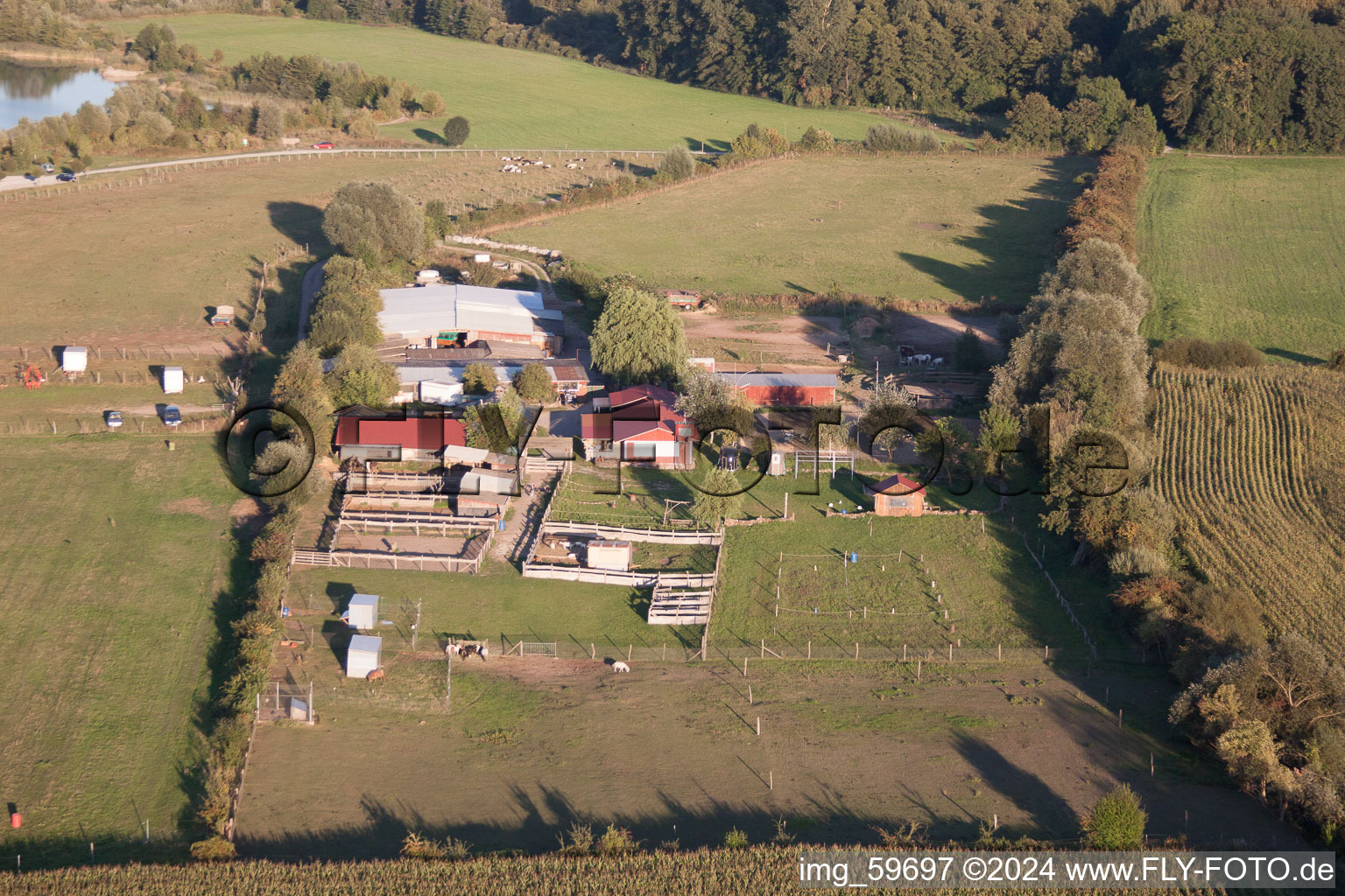 Vue aérienne de Ferme aux cigognes à le quartier Rußheim in Dettenheim dans le département Bade-Wurtemberg, Allemagne