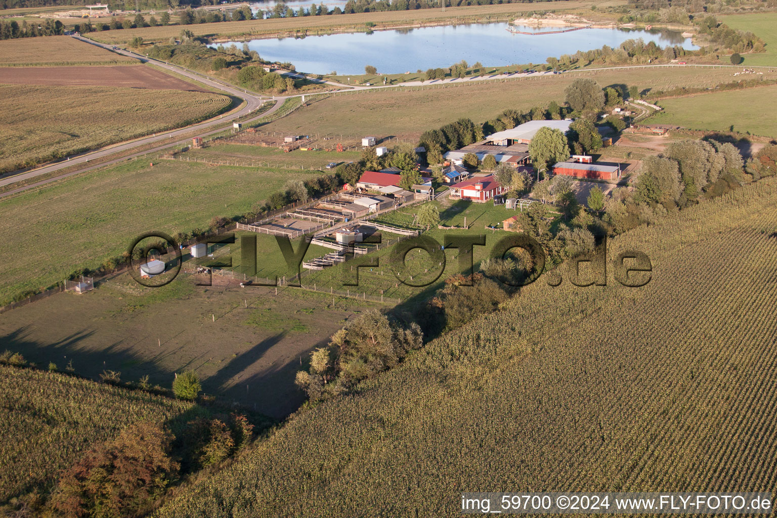 Photographie aérienne de Ferme aux cigognes à le quartier Rußheim in Dettenheim dans le département Bade-Wurtemberg, Allemagne