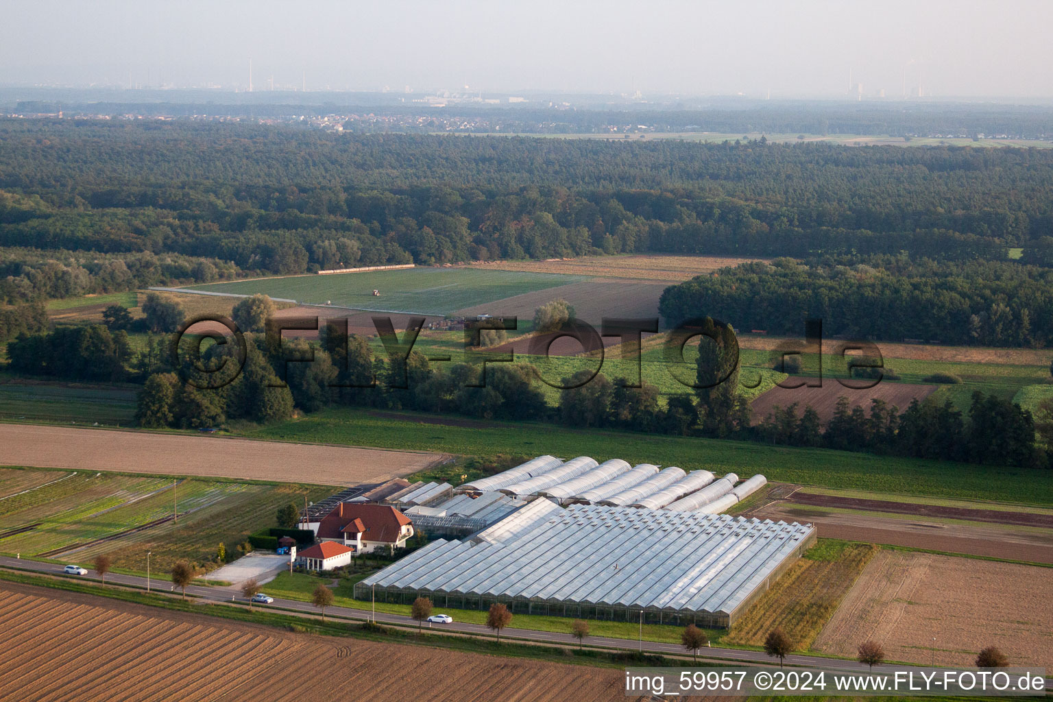 Vue aérienne de Jardinage biologique entre Herxheimweyher et Herxheim à Herxheimweyher dans le département Rhénanie-Palatinat, Allemagne