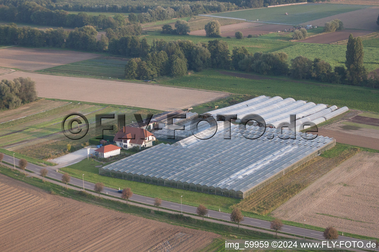 Herxheimweyher dans le département Rhénanie-Palatinat, Allemagne vue du ciel