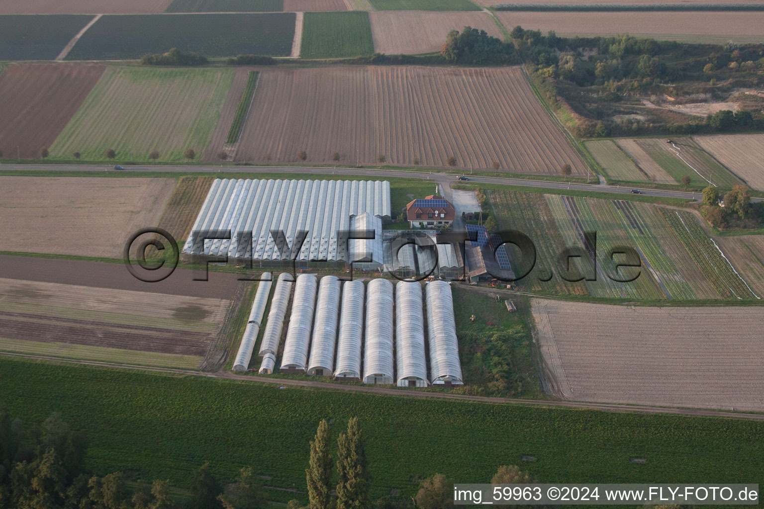 Vue aérienne de Jardinage biologique entre Herxheimweyher et Herxheim à Herxheimweyher dans le département Rhénanie-Palatinat, Allemagne