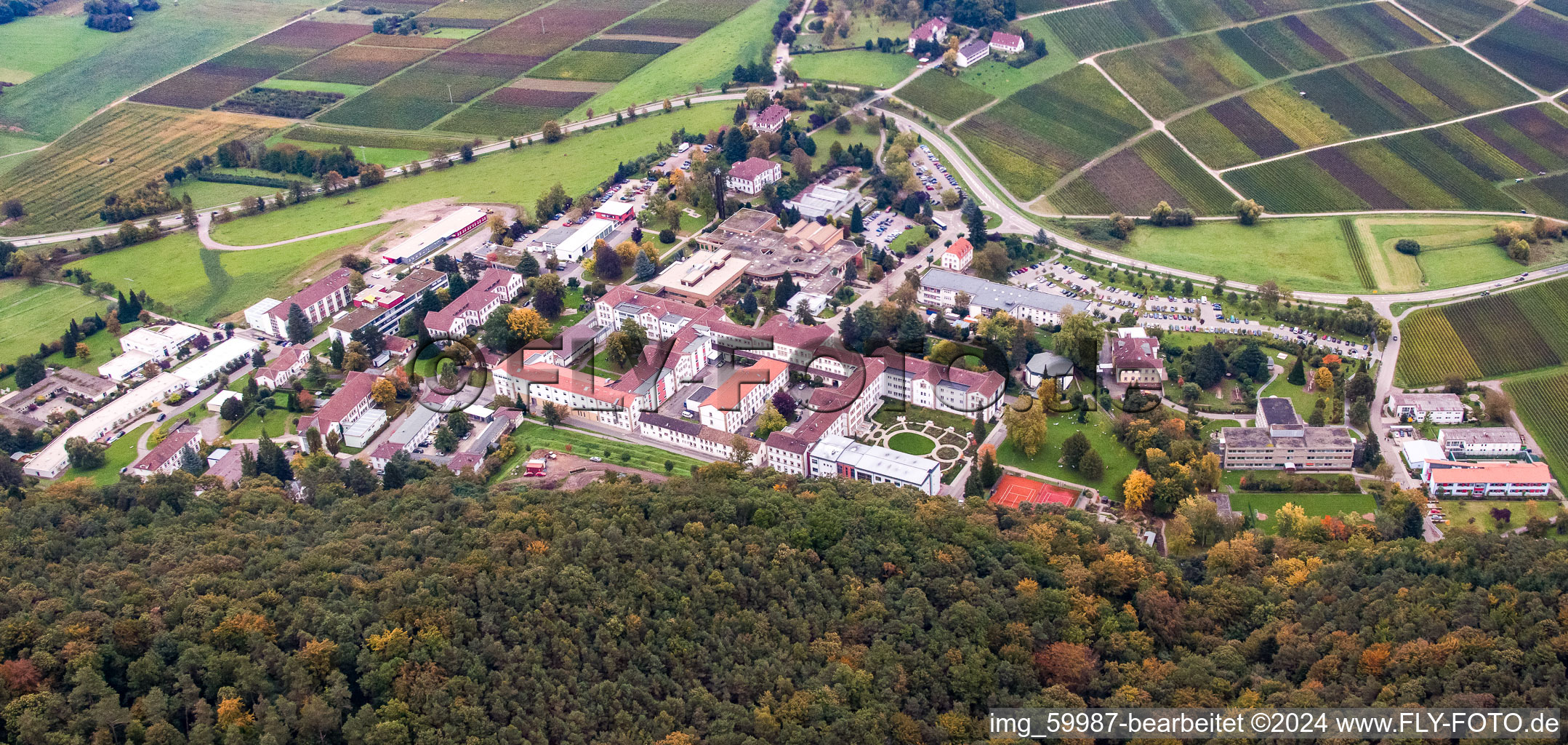 Vue oblique de Clinique psychiatrique d'État à Klingenmünster dans le département Rhénanie-Palatinat, Allemagne