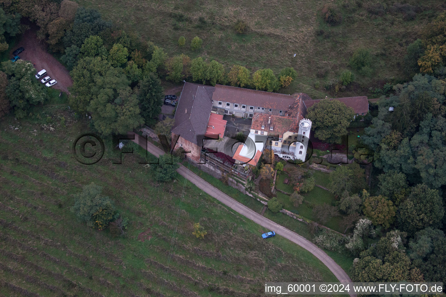 Vue aérienne de Slevogthof, Leinsweiler à Leinsweiler dans le département Rhénanie-Palatinat, Allemagne