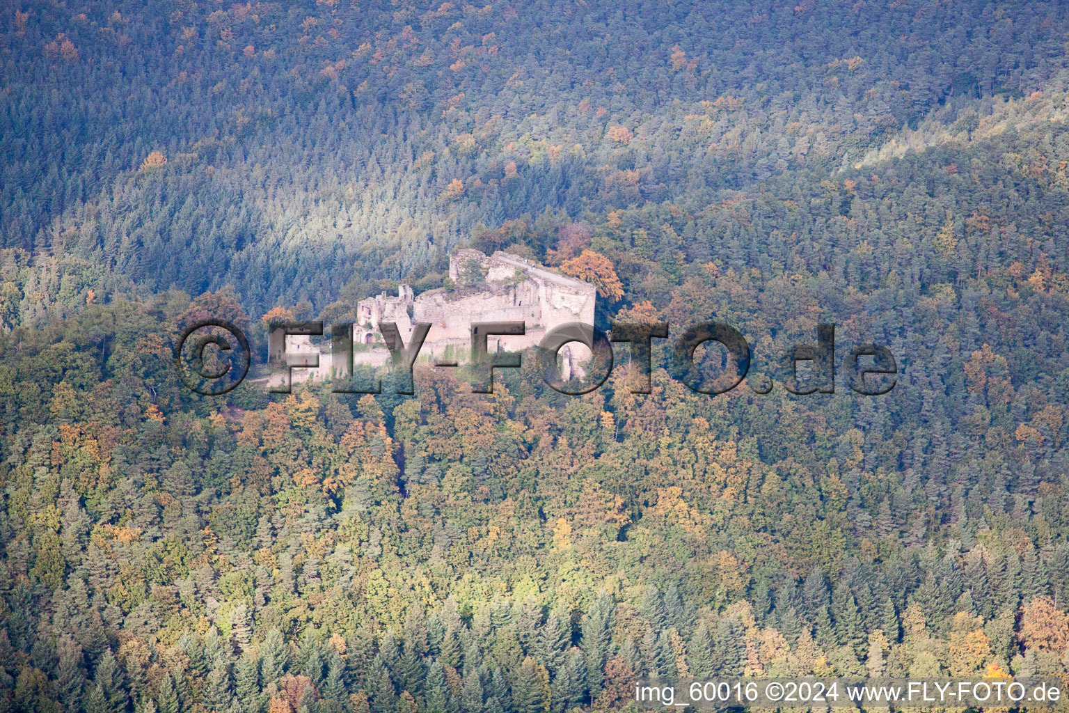 Vue aérienne de Ruines de Neuscharfeneck à Dernbach dans le département Rhénanie-Palatinat, Allemagne