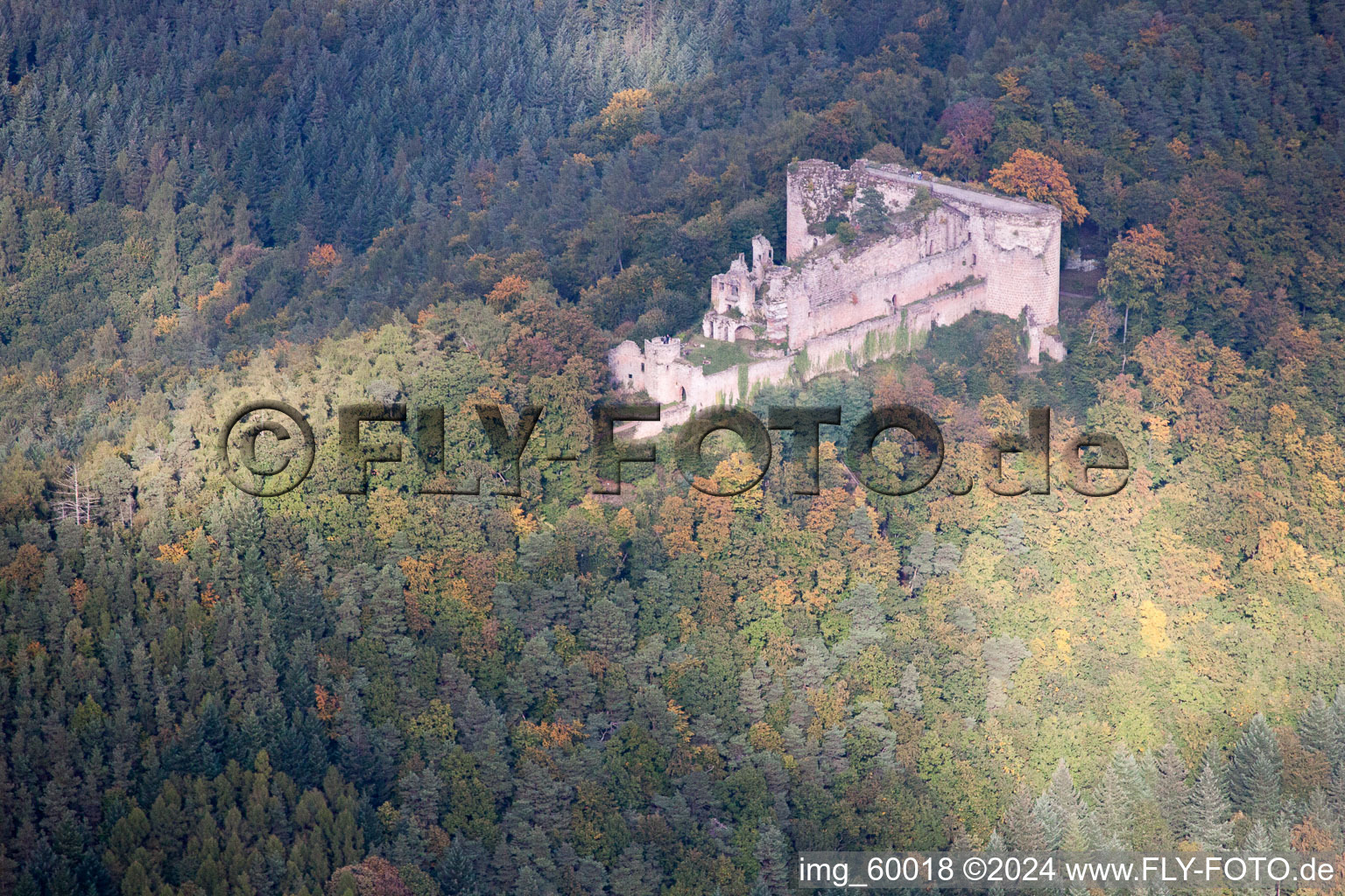 Photographie aérienne de Ruines de Neuscharfeneck à Dernbach dans le département Rhénanie-Palatinat, Allemagne