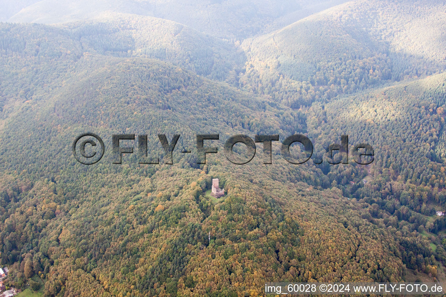 Vue aérienne de Château de Rambourg à Ramberg dans le département Rhénanie-Palatinat, Allemagne