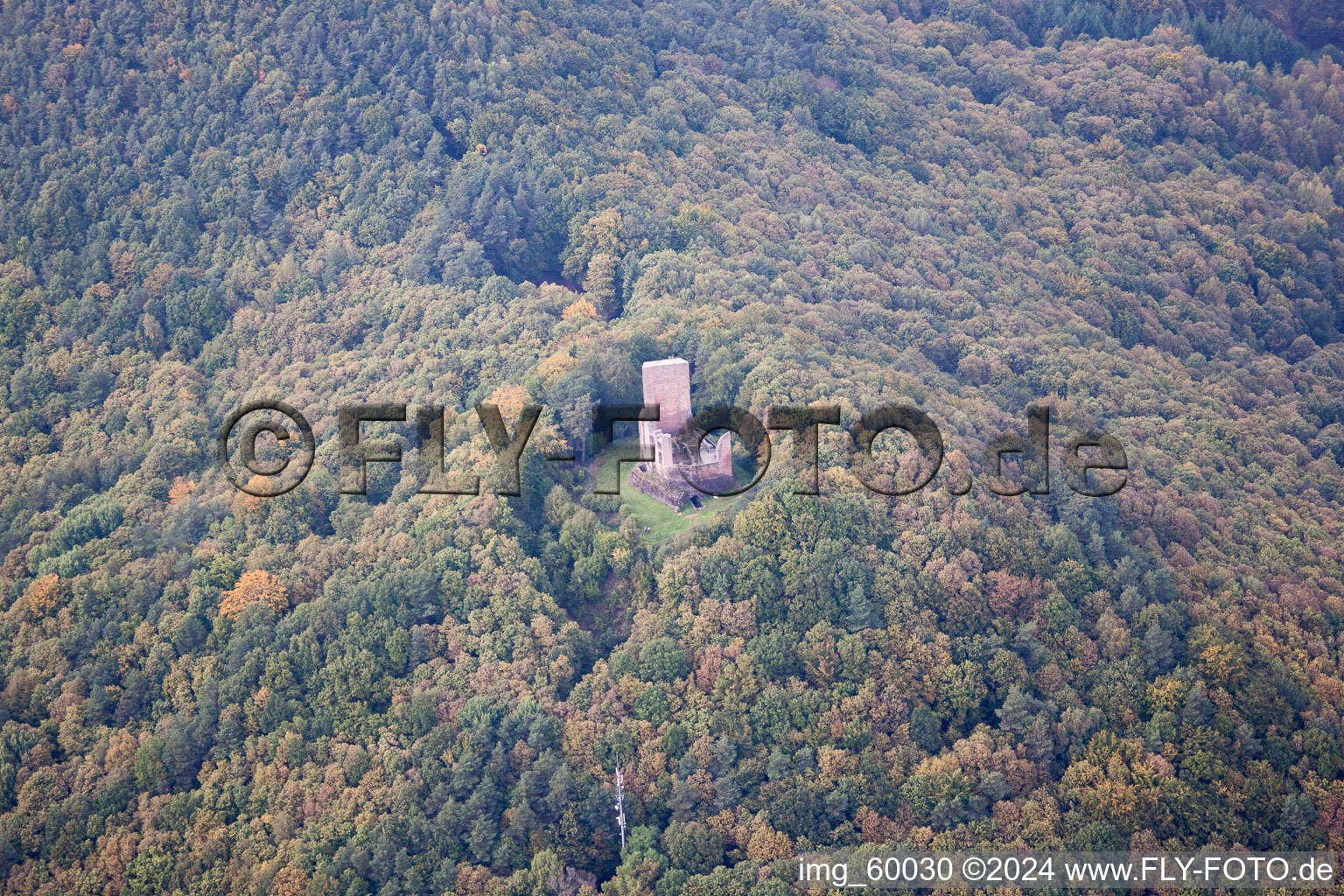 Photographie aérienne de Château de Rambourg à Ramberg dans le département Rhénanie-Palatinat, Allemagne