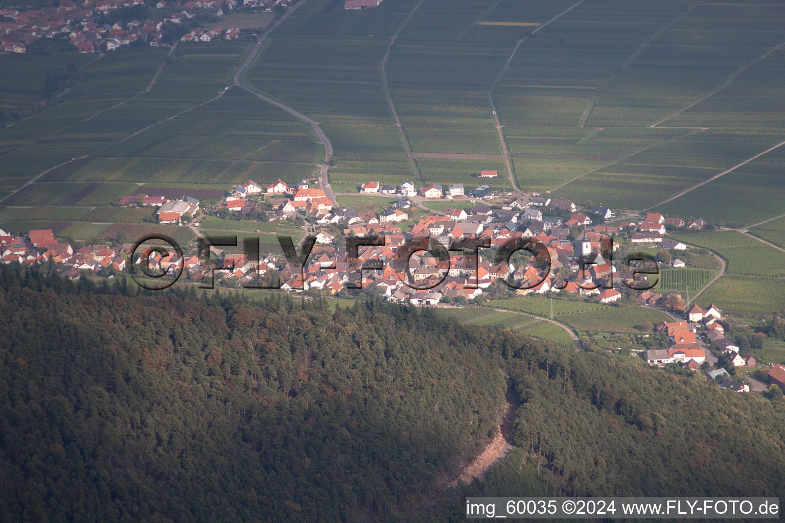 Vue aérienne de De l'ouest à Weyher in der Pfalz dans le département Rhénanie-Palatinat, Allemagne