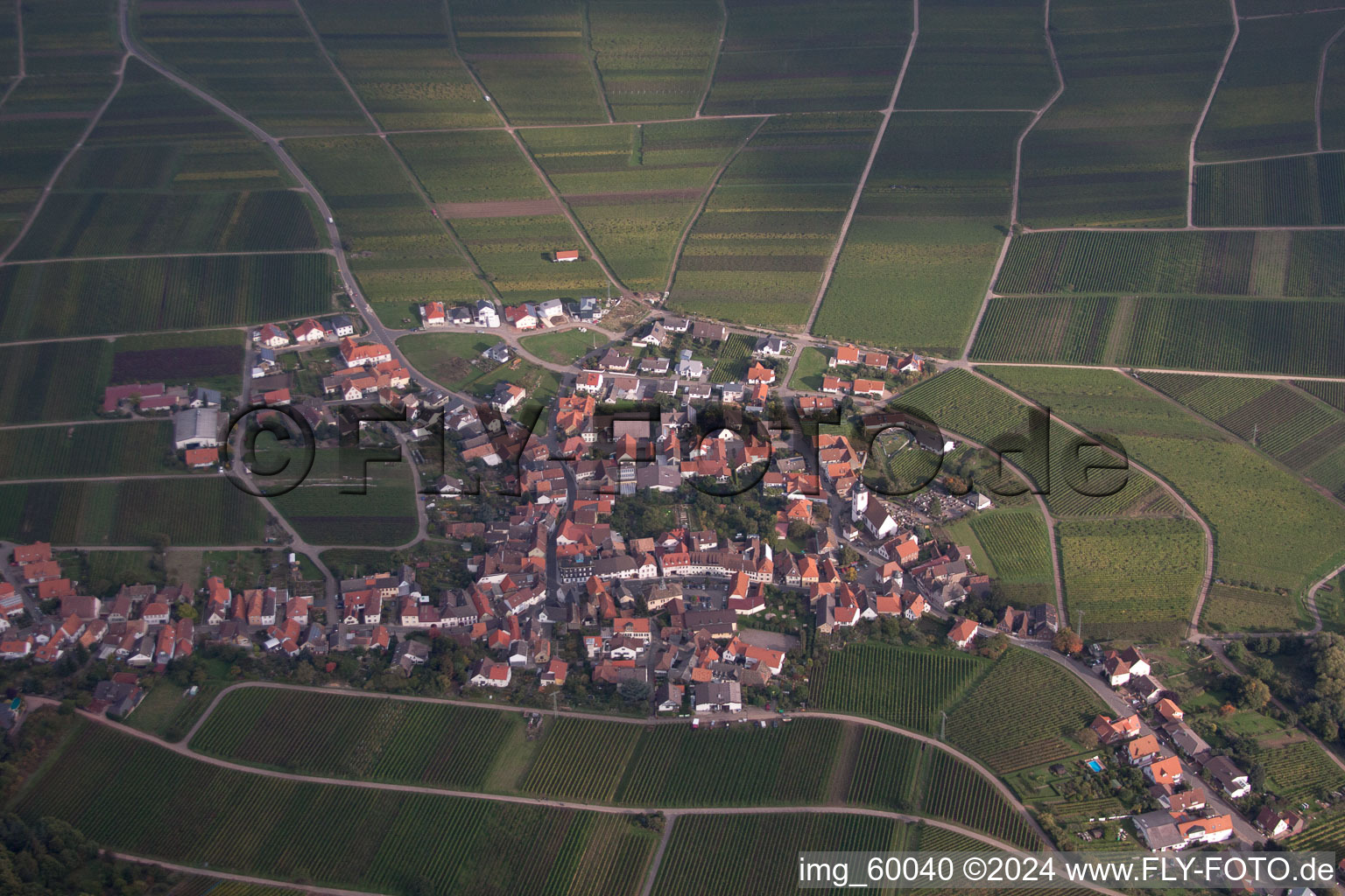 Weyher in der Pfalz dans le département Rhénanie-Palatinat, Allemagne vue du ciel