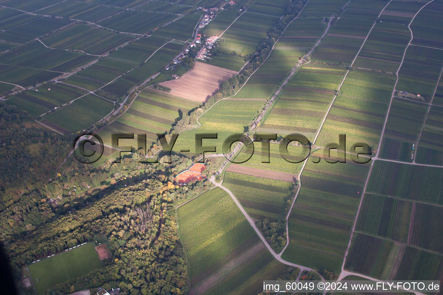 Image drone de Weyher in der Pfalz dans le département Rhénanie-Palatinat, Allemagne