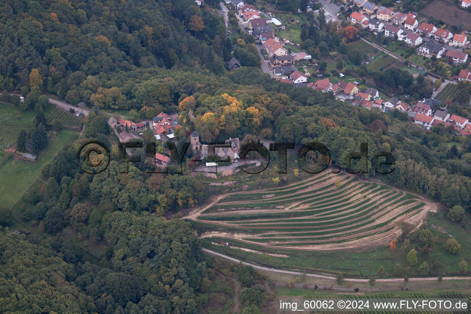 Photographie aérienne de Sankt Martin dans le département Rhénanie-Palatinat, Allemagne