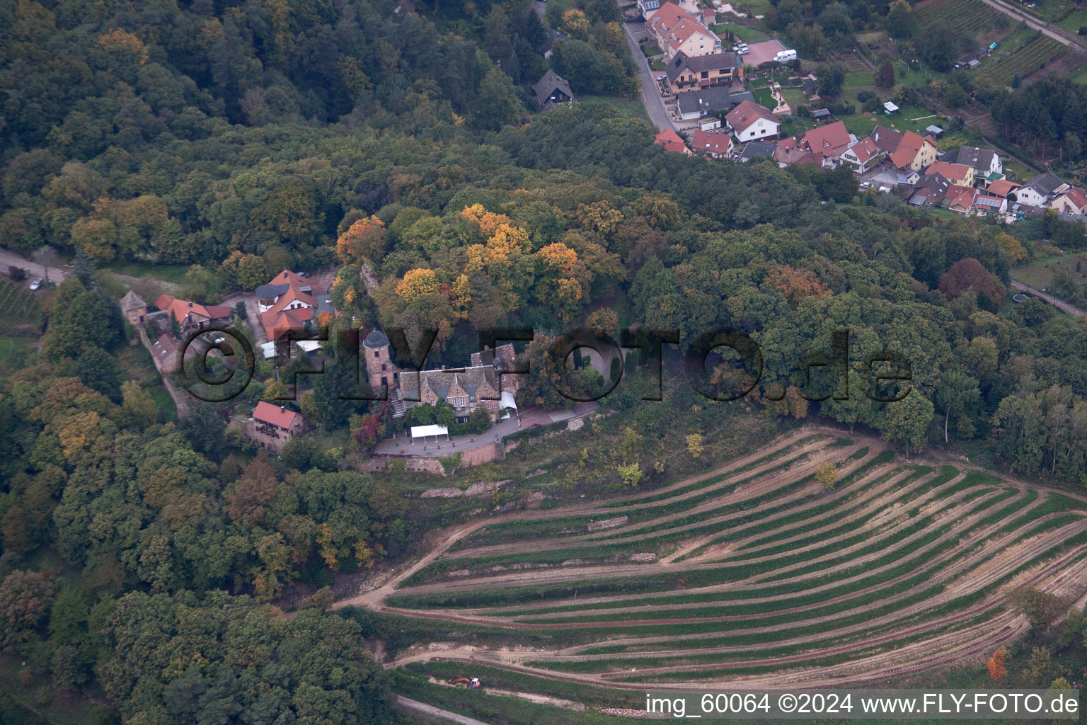 Vue oblique de Sankt Martin dans le département Rhénanie-Palatinat, Allemagne