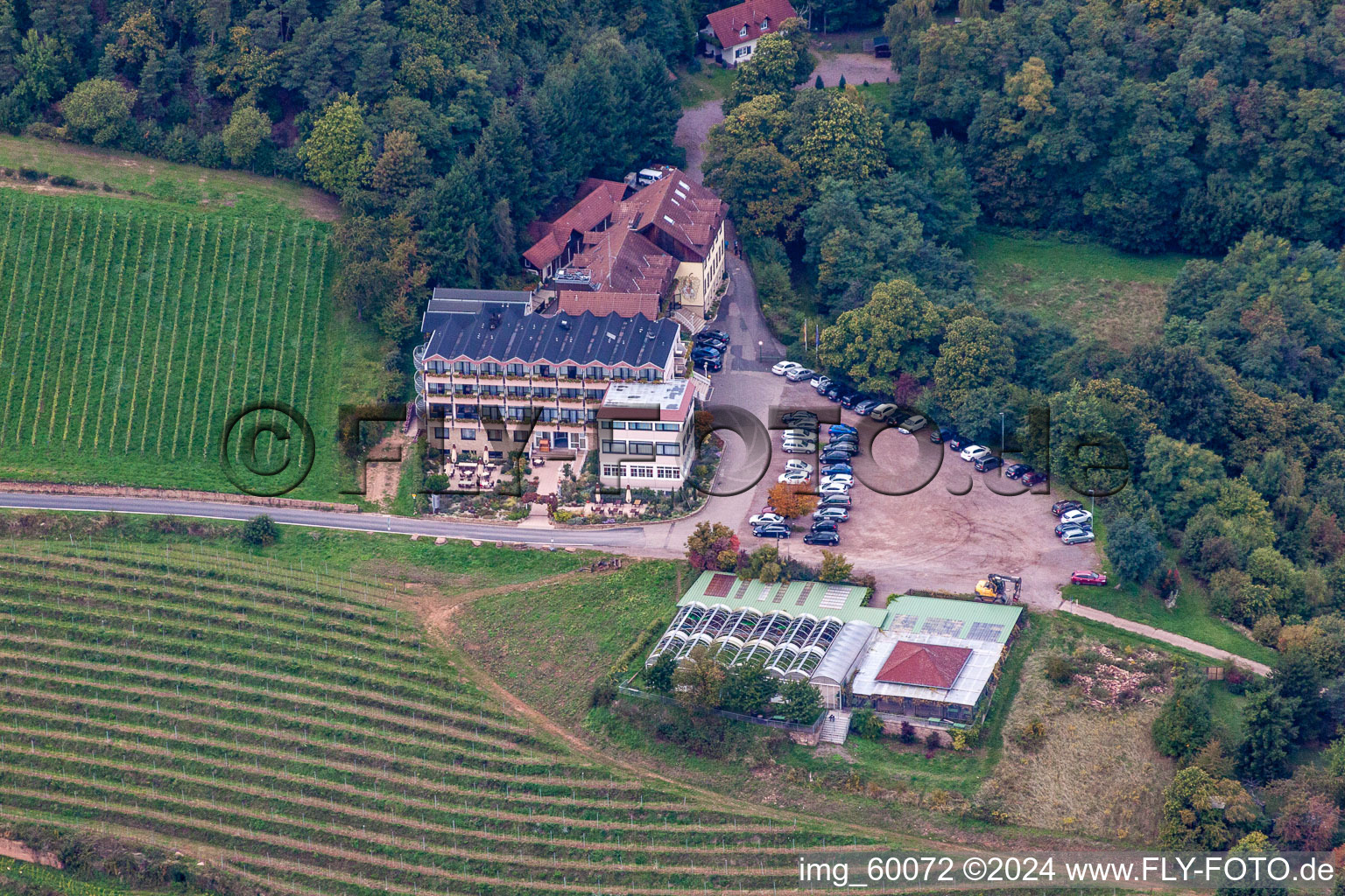 Vue aérienne de Hôtel Haus am Weinberg à Sankt Martin dans le département Rhénanie-Palatinat, Allemagne