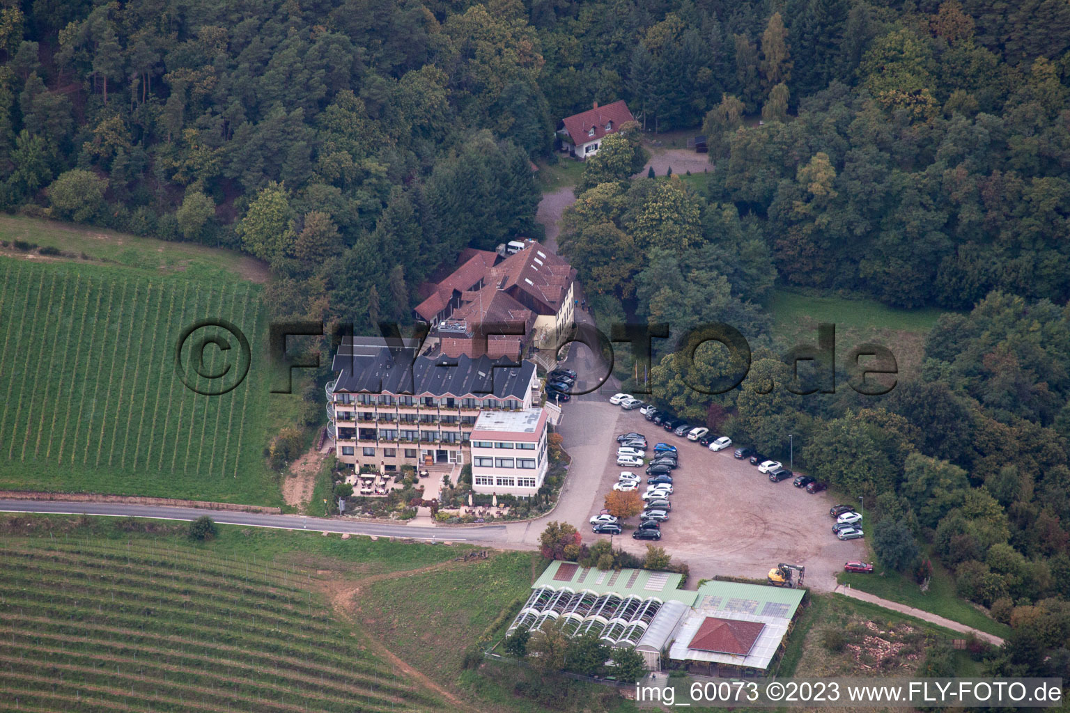 Vue aérienne de Hôtel Haus am Weinberg à Sankt Martin dans le département Rhénanie-Palatinat, Allemagne