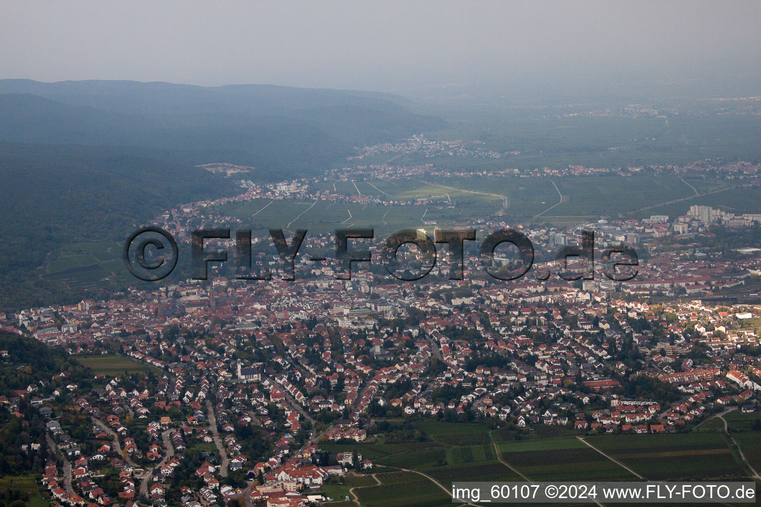 Du sud à Neustadt an der Weinstraße dans le département Rhénanie-Palatinat, Allemagne d'en haut