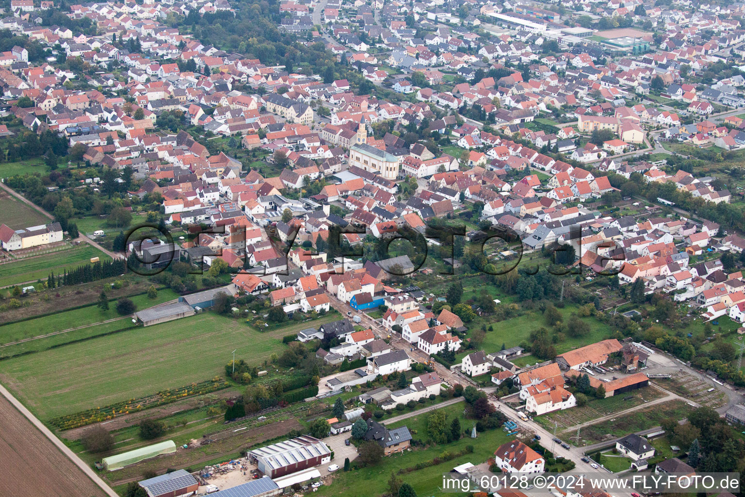 Lingenfeld dans le département Rhénanie-Palatinat, Allemagne depuis l'avion