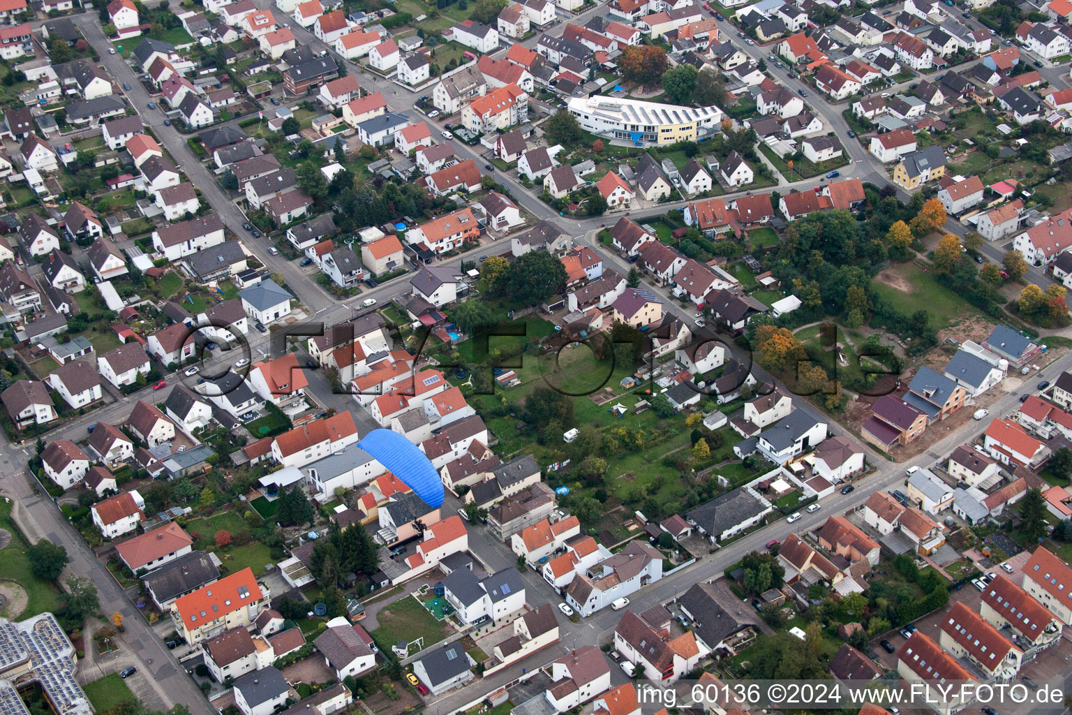 Image drone de Lingenfeld dans le département Rhénanie-Palatinat, Allemagne