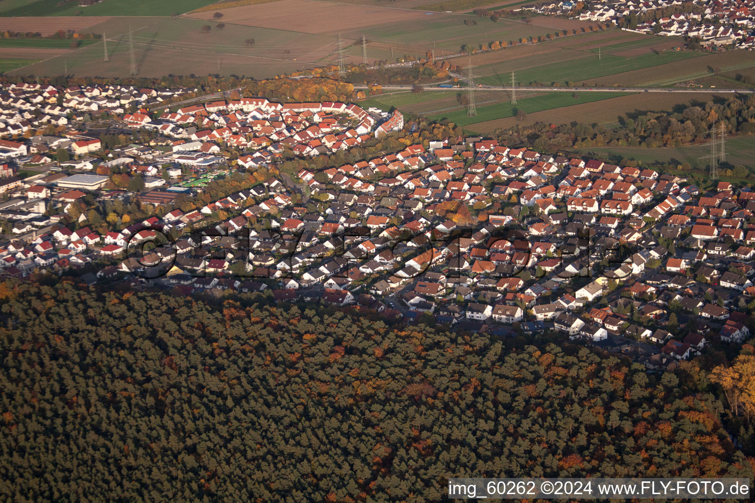 Rülzheim dans le département Rhénanie-Palatinat, Allemagne vue d'en haut