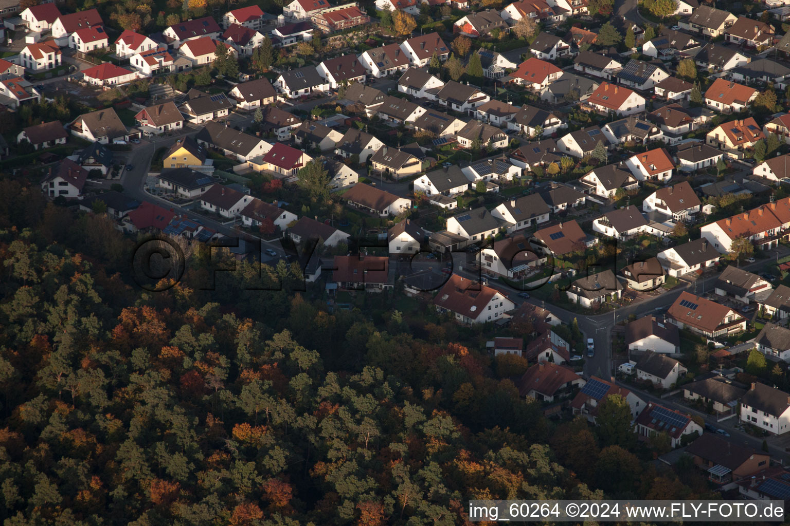 Rülzheim dans le département Rhénanie-Palatinat, Allemagne depuis l'avion