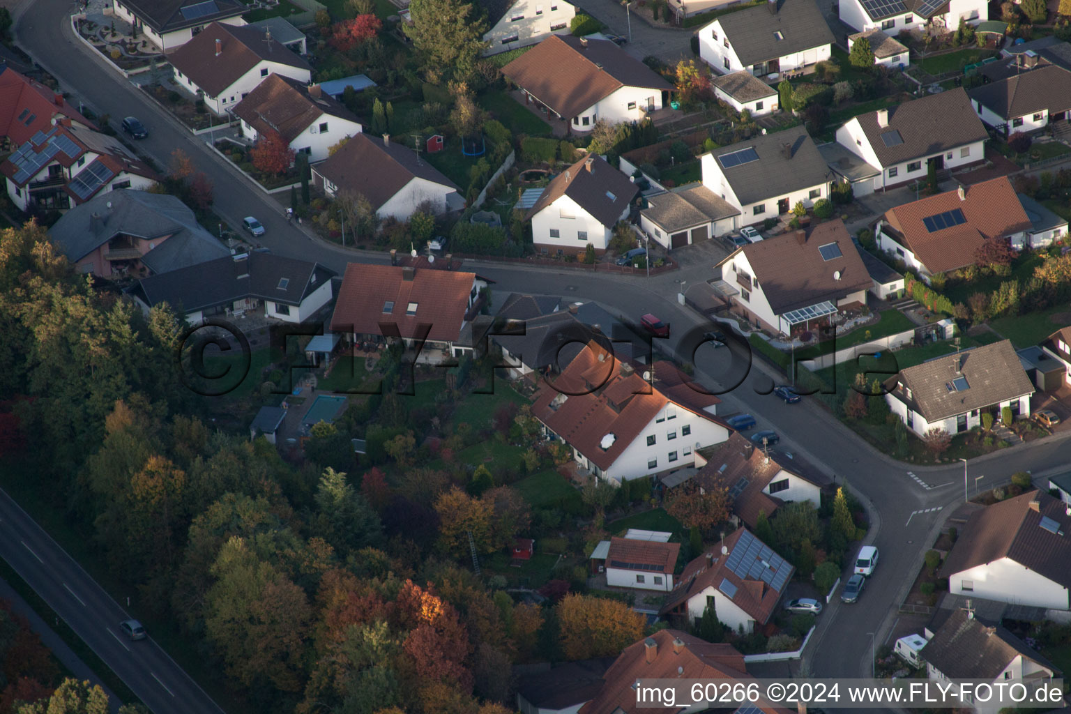 Vue d'oiseau de Rülzheim dans le département Rhénanie-Palatinat, Allemagne