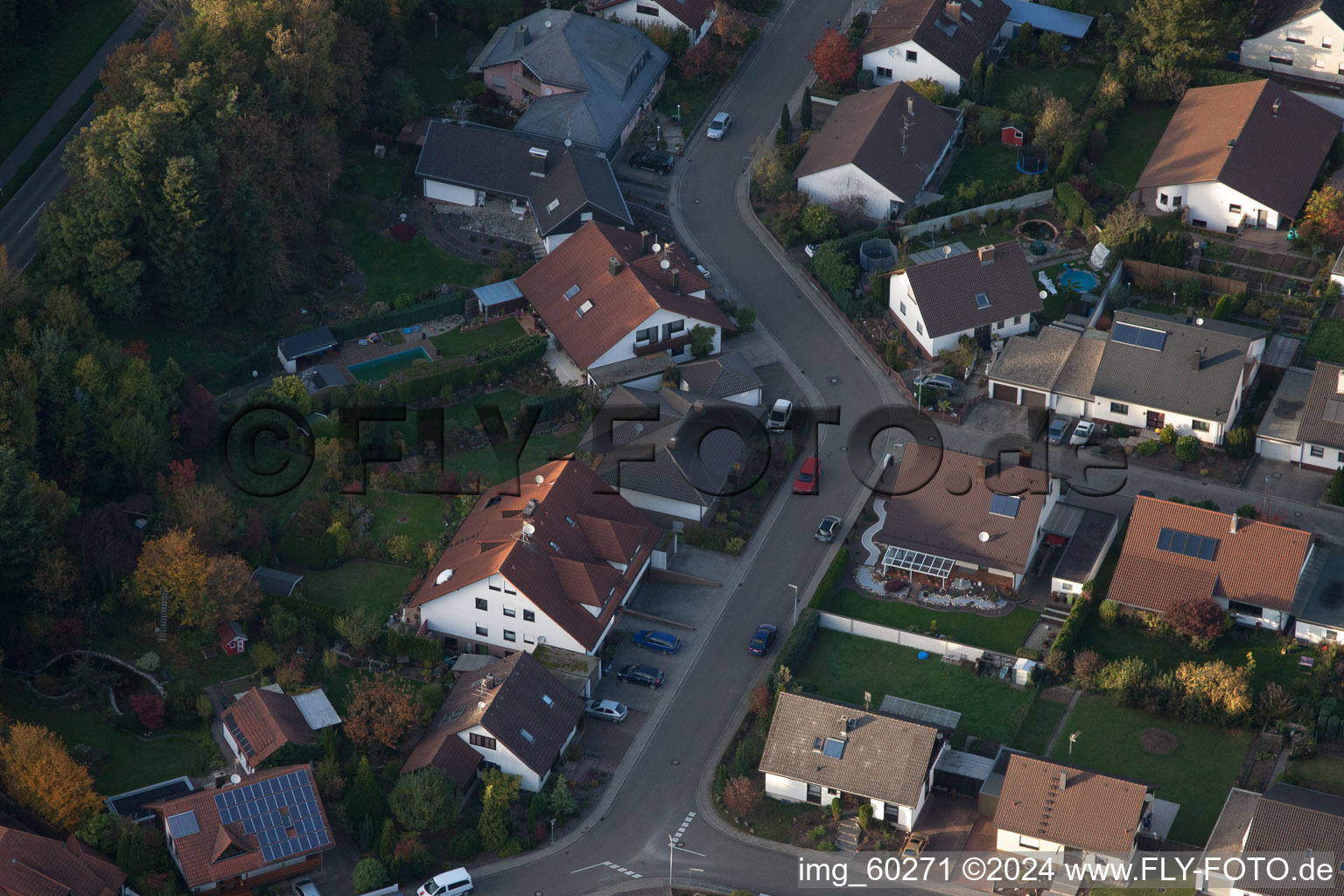 Rülzheim dans le département Rhénanie-Palatinat, Allemagne d'un drone