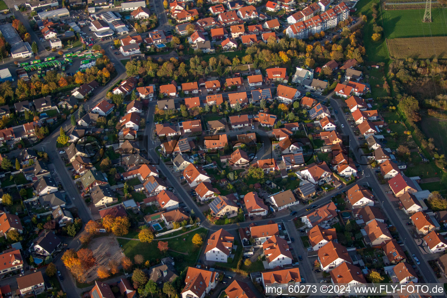 Vue aérienne de Rülzheim dans le département Rhénanie-Palatinat, Allemagne