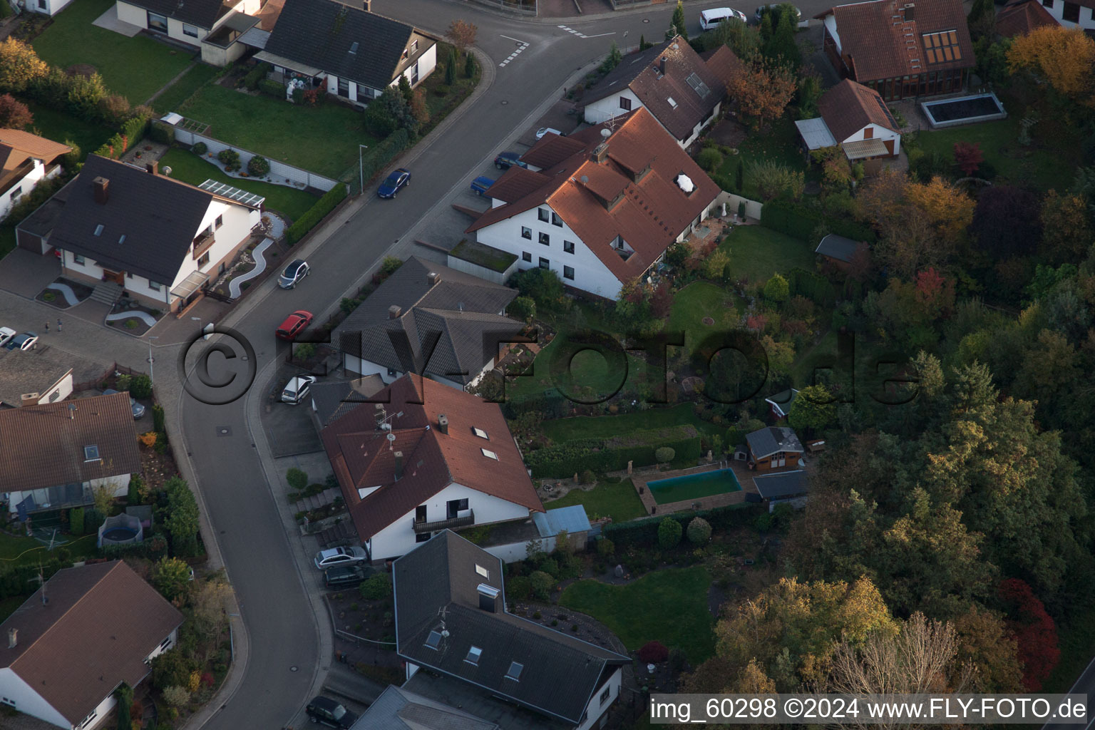 Vue d'oiseau de Rülzheim dans le département Rhénanie-Palatinat, Allemagne