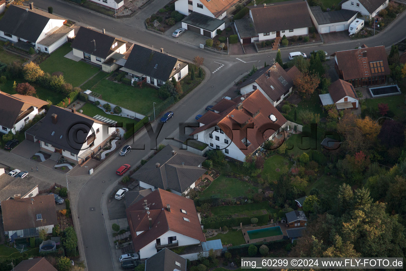 Rülzheim dans le département Rhénanie-Palatinat, Allemagne vue du ciel