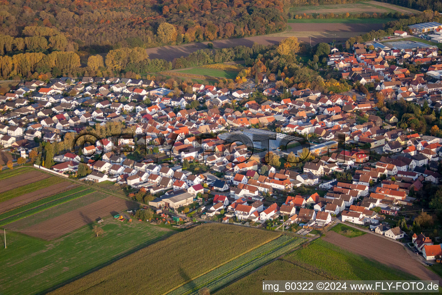 Vue d'oiseau de Kuhardt dans le département Rhénanie-Palatinat, Allemagne