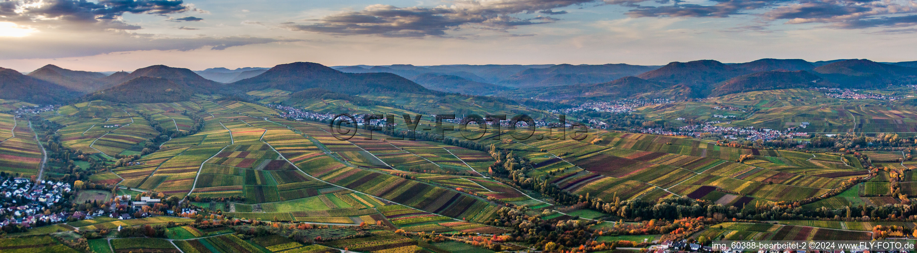 Vue aérienne de Panorama à Ranschbach dans le département Rhénanie-Palatinat, Allemagne