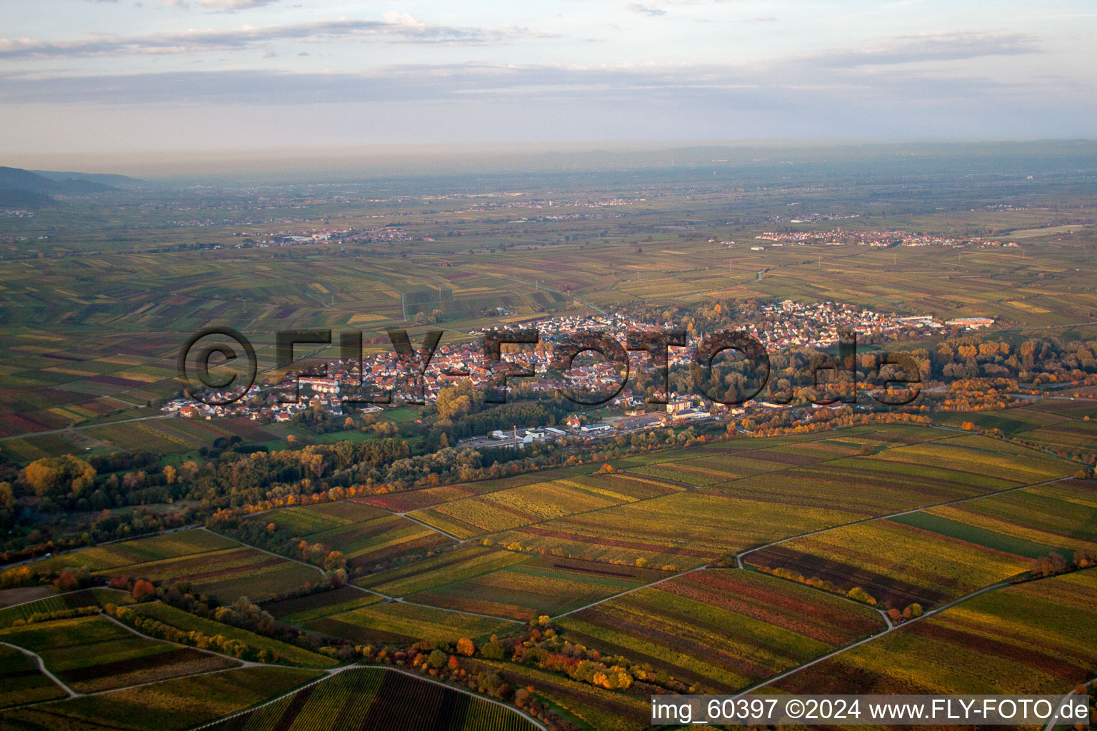 Vue d'oiseau de Siebeldingen dans le département Rhénanie-Palatinat, Allemagne